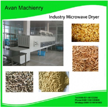  BSF Larvae microwave dryer machine	