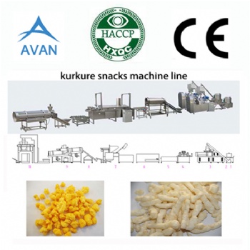 Automatic kurkure plant cost