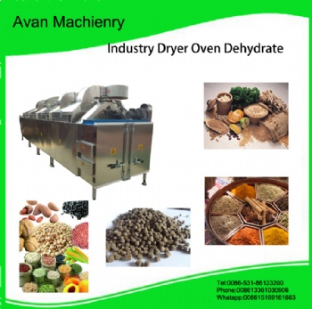  Stainless Steel Snacks food dryer oven machine	