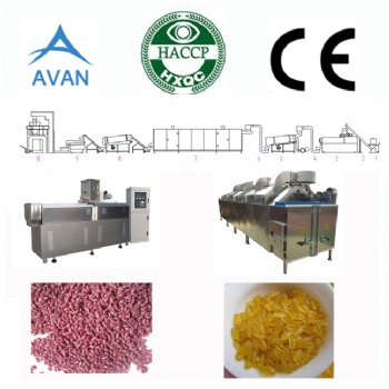 Artificial rice machine plant